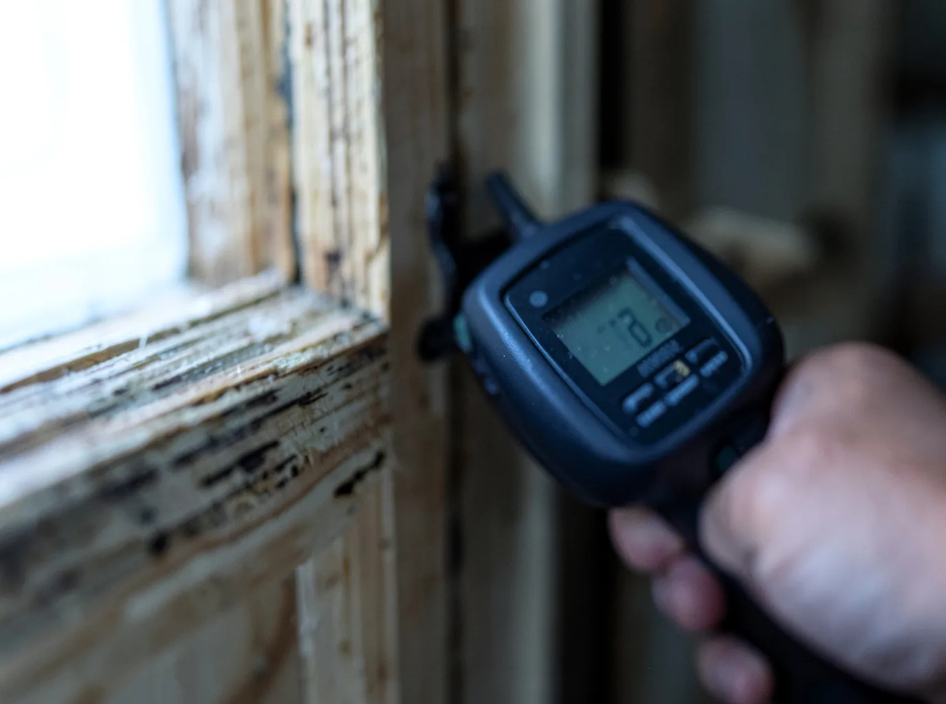 Commercial Water Damage Restoration in Neche, ND